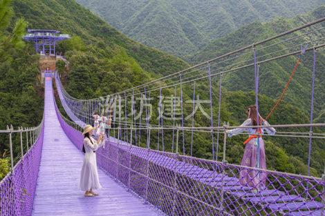 步步惊心