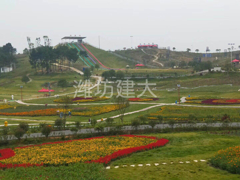滑草